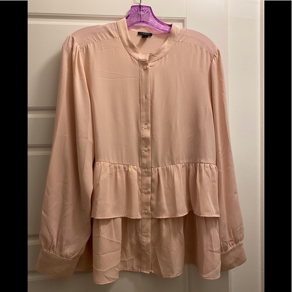 Ann Taylor Factory sheer blouse, size L